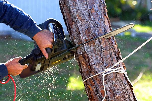 Lawn Irrigation Installation and Maintenance in Lamar, CO